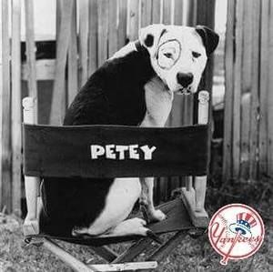 Meet your Posher, Petey